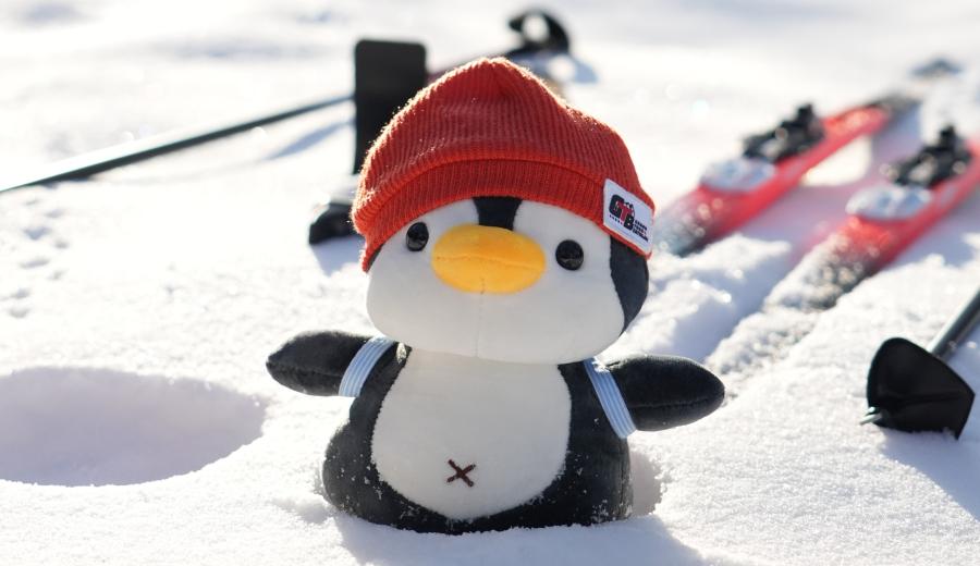 Новый талисман детских соревнований Grand Tour Biathlon!